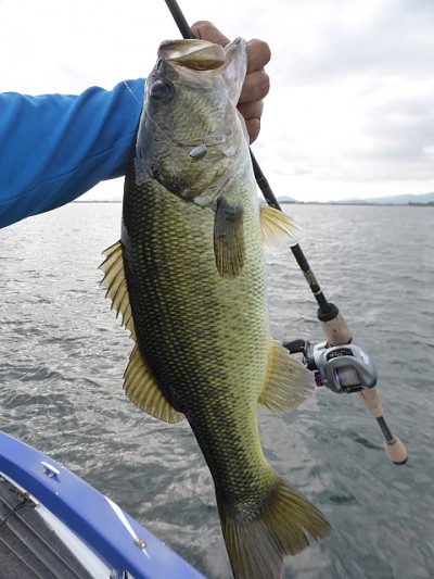 truth news ブログ写真 2014/08/08