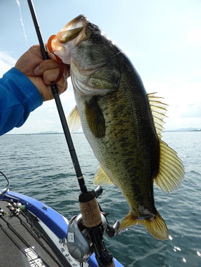 truth news ブログ写真 2014/08/08