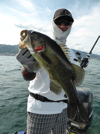 truth news ブログ写真 2014/08/08