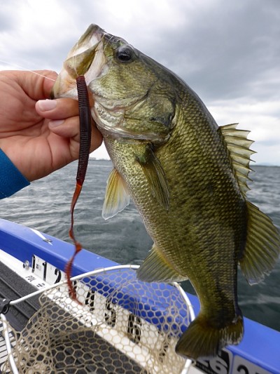 truth news ブログ写真 2014/08/08