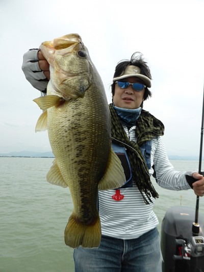 truth news ブログ写真 2014/08/12