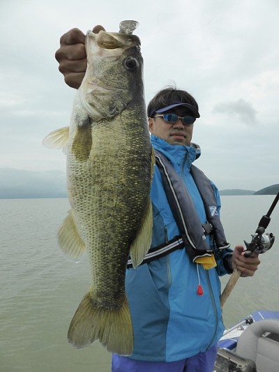 truth news ブログ写真 2014/08/12