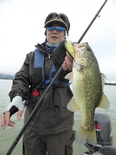 truth news ブログ写真 2014/08/12