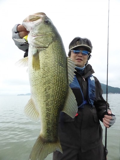 truth news ブログ写真 2014/08/12