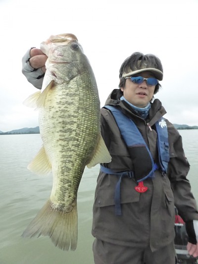 truth news ブログ写真 2014/08/12