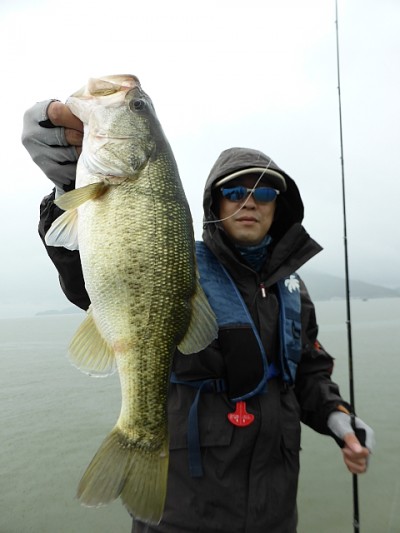 truth news ブログ写真 2014/08/12