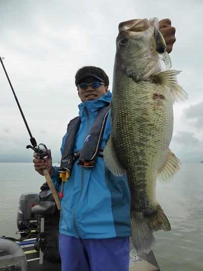 truth news ブログ写真 2014/08/12