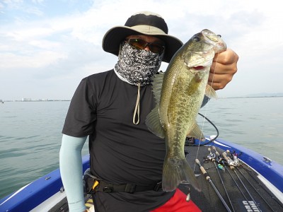 truth news ブログ写真 2014/08/13