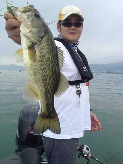 truth news ブログ写真 2014/08/14