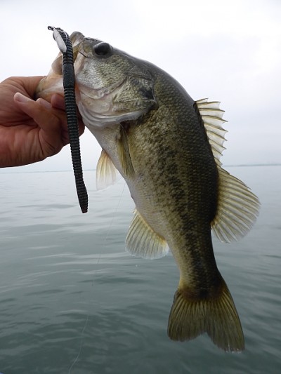 truth news ブログ写真 2014/08/14