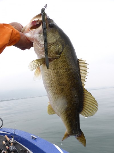 truth news ブログ写真 2014/08/14