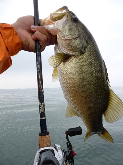 truth news ブログ写真 2014/08/14