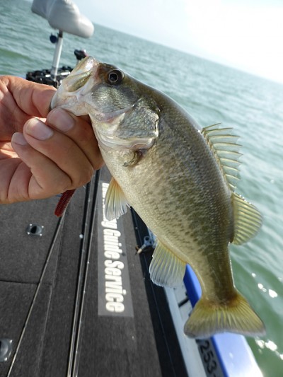 truth news ブログ写真 2014/08/14