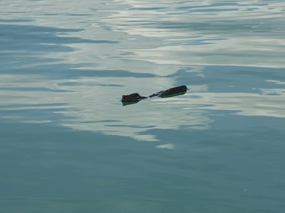 truth news ブログ写真 2014/08/18