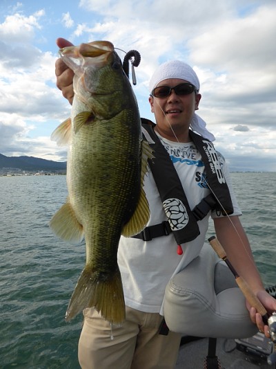 truth news ブログ写真 2014/08/18