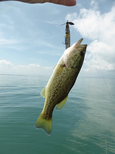 truth news ブログ写真 2014/08/18