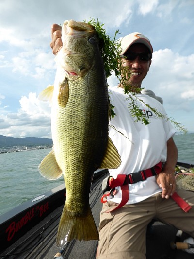 truth news ブログ写真 2014/08/18