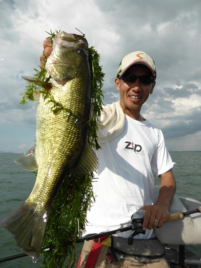 truth news ブログ写真 2014/08/18