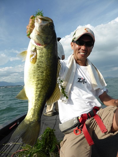 truth news ブログ写真 2014/08/18