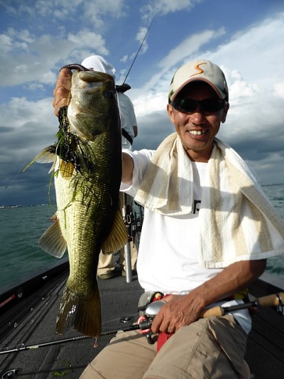 truth news ブログ写真 2014/08/18