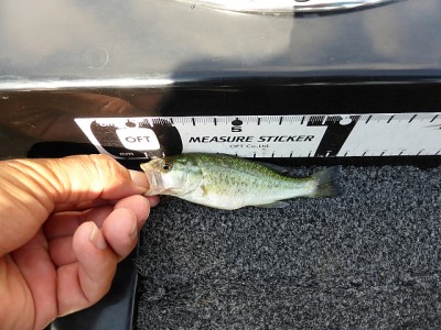 truth news ブログ写真 2014/08/20