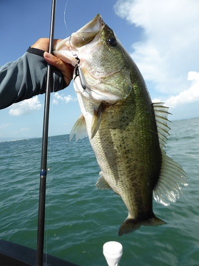 truth news ブログ写真 2014/08/20