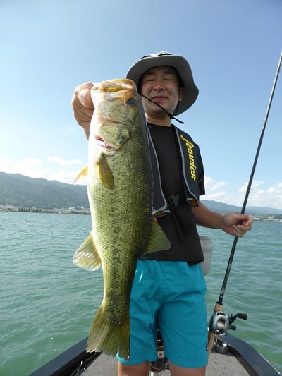 truth news ブログ写真 2014/08/20