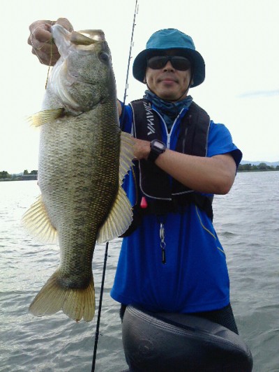 truth news ブログ写真 2014/08/21