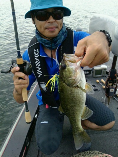 truth news ブログ写真 2014/08/21