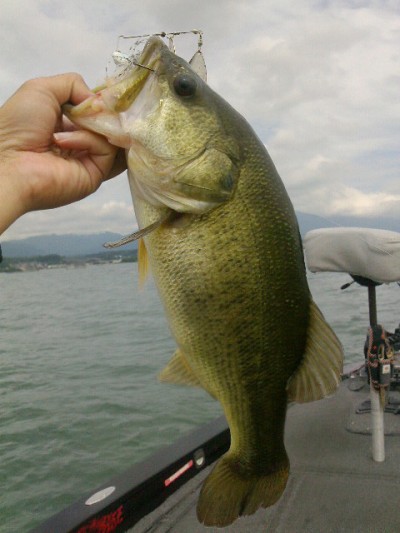 truth news ブログ写真 2014/08/21