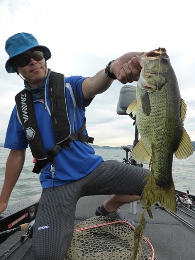 truth news ブログ写真 2014/08/21