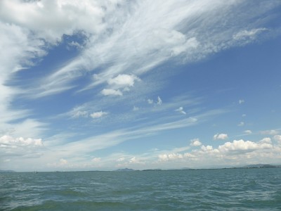 truth news ブログ写真 2014/08/21