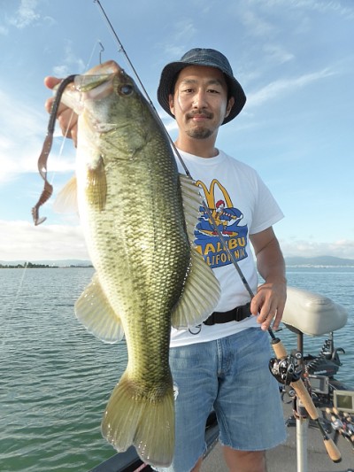 truth news ブログ写真 2014/08/21