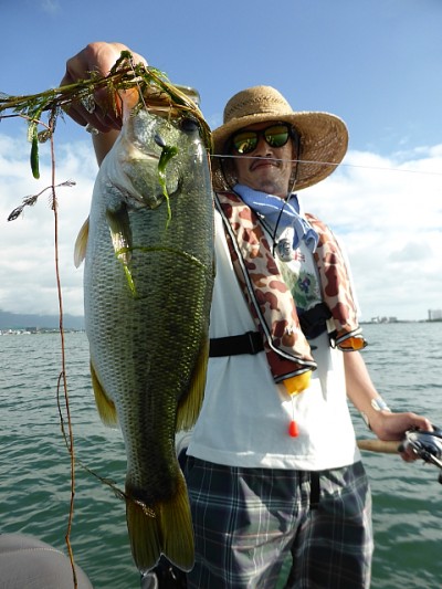 truth news ブログ写真 2014/08/21