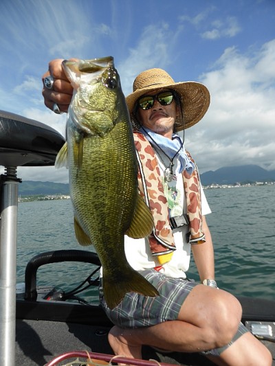 truth news ブログ写真 2014/08/21