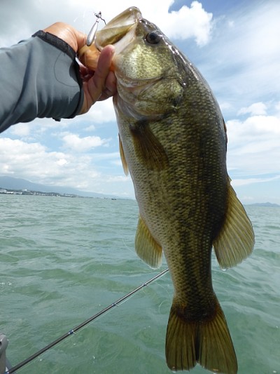 truth news ブログ写真 2014/08/21