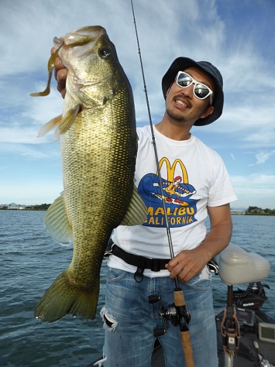 truth news ブログ写真 2014/08/21