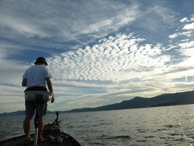 truth news ブログ写真 2014/08/21