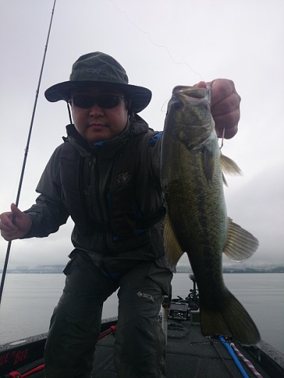 truth news ブログ写真 2014/09/05