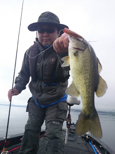 truth news ブログ写真 2014/09/05