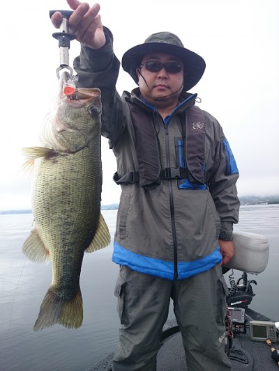 truth news ブログ写真 2014/09/05