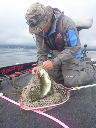 truth news ブログ写真 2014/09/05