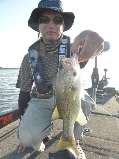 truth news ブログ写真 2014/09/07