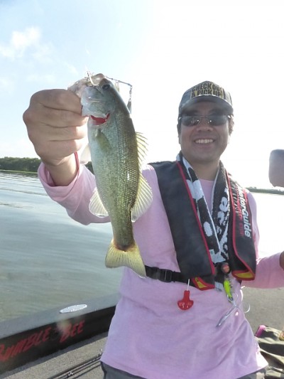 truth news ブログ写真 2014/09/07