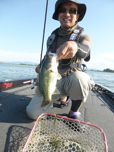 truth news ブログ写真 2014/09/07