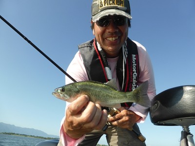 truth news ブログ写真 2014/09/07