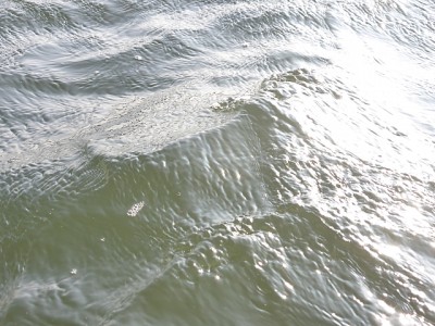 truth news ブログ写真 2014/09/11