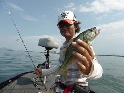 truth news ブログ写真 2014/09/11