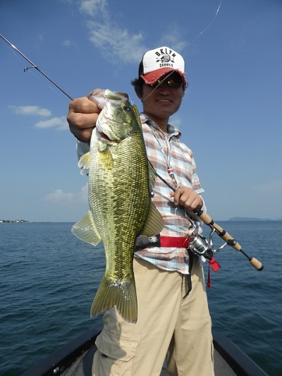 truth news ブログ写真 2014/09/11