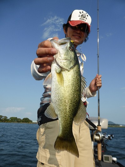 truth news ブログ写真 2014/09/11